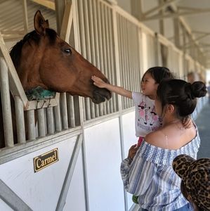 Meet your Posher, Nicole frances